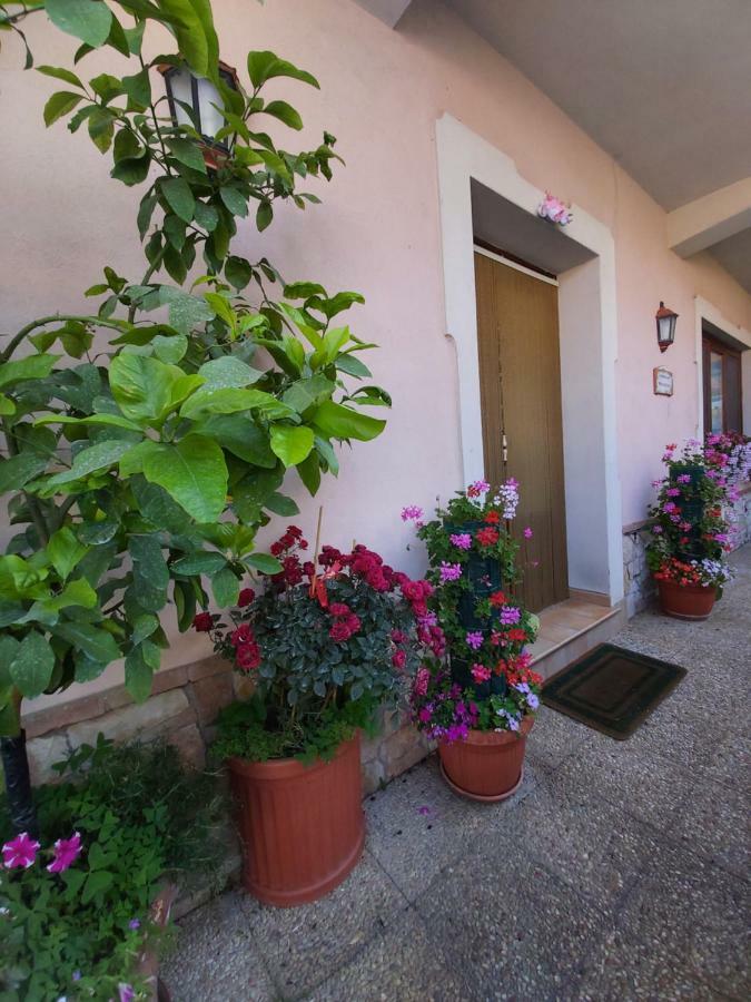 Bed and Breakfast Il Ritrovo Delle Volpi Agerola Exterior foto